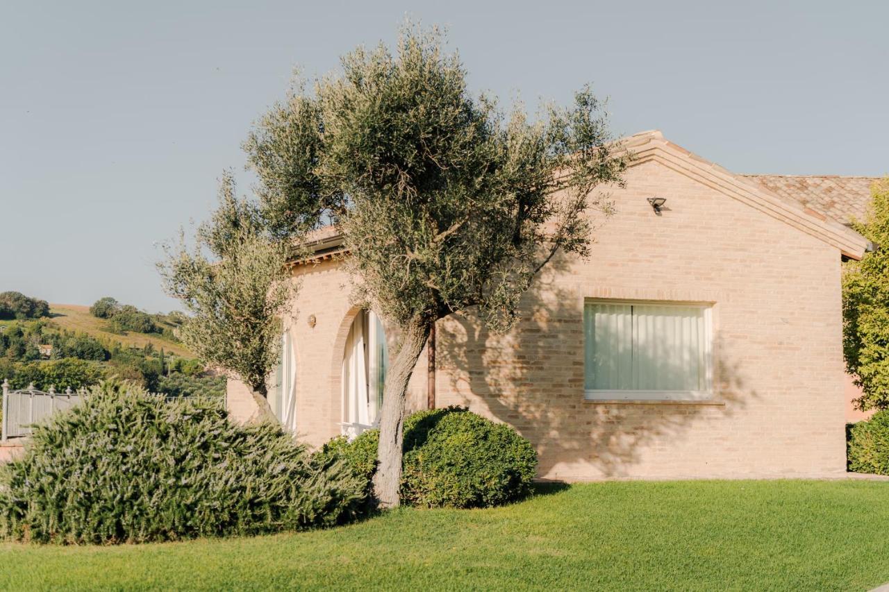 Nontiscordardime B&B Villa Agriturismo Чивитанова-Марке Экстерьер фото